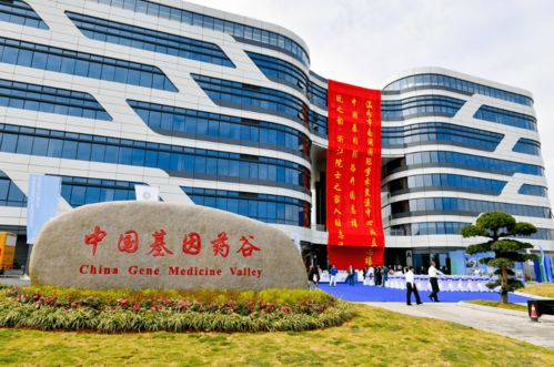 這些“重器”挺起溫州創新脊梁 解碼溫州網絡技術服務新動能